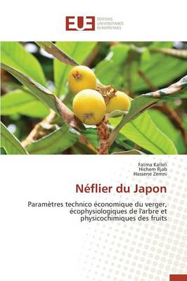 Book cover for N flier Du Japon