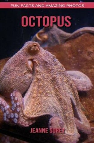 Cover of Octopus