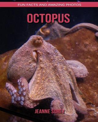 Book cover for Octopus