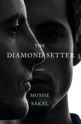 Book cover for The Diamond Setter