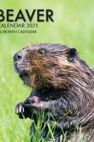 Cover of Beaver Calendar 2021
