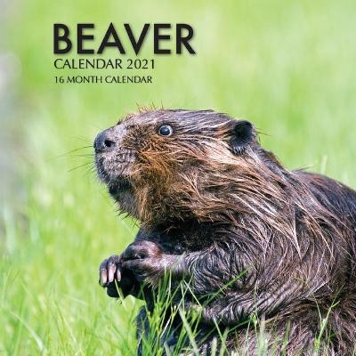 Book cover for Beaver Calendar 2021