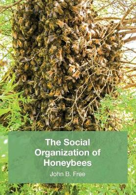 Book cover for The Social Organisation of Honeybees