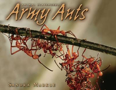Book cover for Army Ants