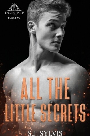 Cover of All the Little Secrets