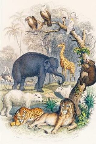 Cover of Animals Notebook