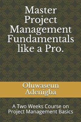 Book cover for Master Project Management Fundamentals like a Pro.