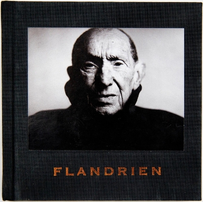 Book cover for Flandrien