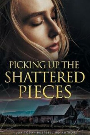 Cover of Picking Up The Shattered Pieces