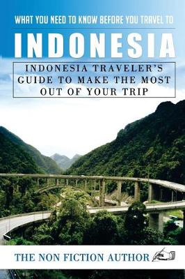 Book cover for What You Need to Know Before You Travel to Indonesia