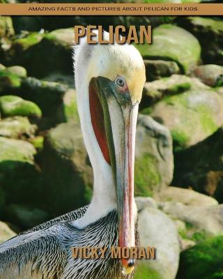 Book cover for Pelican