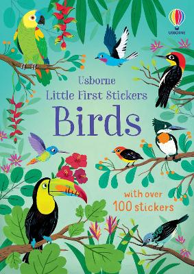 Book cover for Little First Stickers Birds