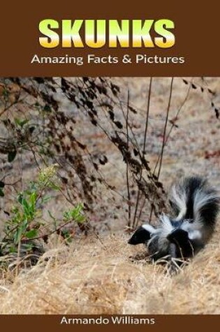 Cover of Skunks