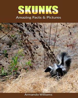 Book cover for Skunks