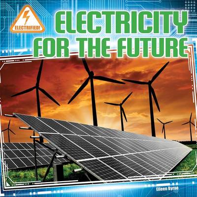 Cover of Electricity for the Future