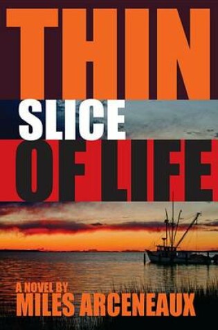 Cover of Thin Slice of Life