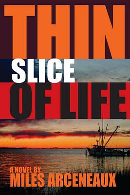 Book cover for Thin Slice of Life
