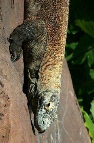 Cover of Komodo Dragon Sunning on a Rock