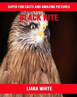 Book cover for Black Kite