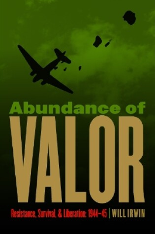 Cover of Abundance of Valor