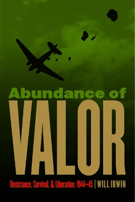 Book cover for Abundance of Valor