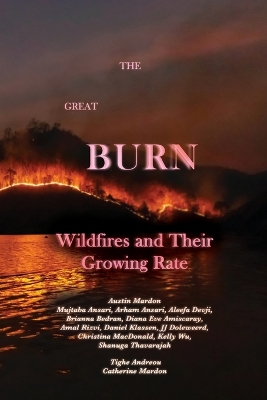 Book cover for The Great Burn