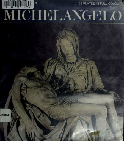 Cover of Michelangelo