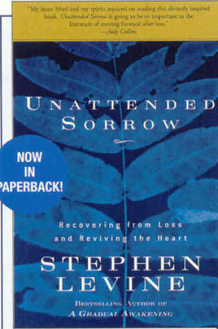 Cover of Unattended Sorrow