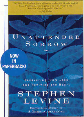 Book cover for Unattended Sorrow