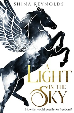 Cover of A Light in the Sky