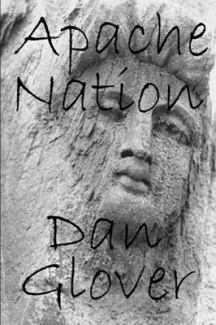Cover of Apache Nation