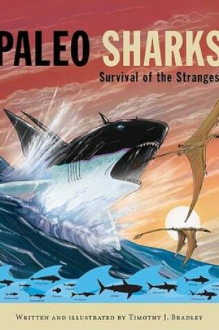 Cover of Paleo Sharks