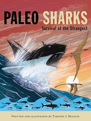 Book cover for Paleo Sharks