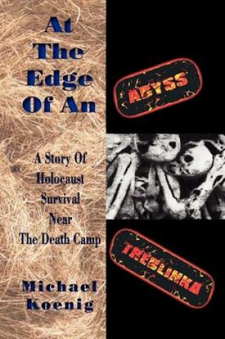 Cover of At the Edge of an Abyss