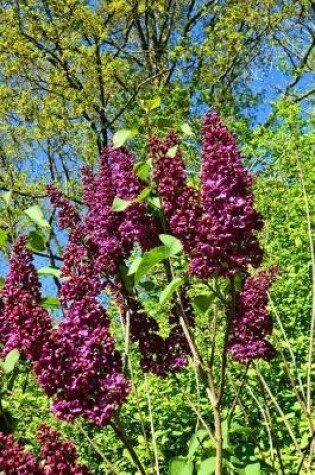 Cover of Common Lilac in a Meadow Journal