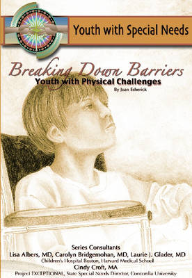 Book cover for Breaking Down Barriers