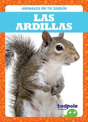 Book cover for Las Ardillas (Squirrels)