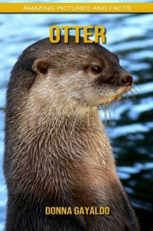 Cover of Otter