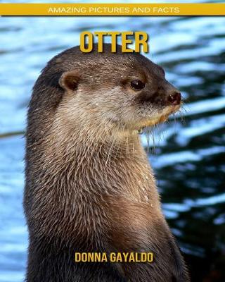 Book cover for Otter