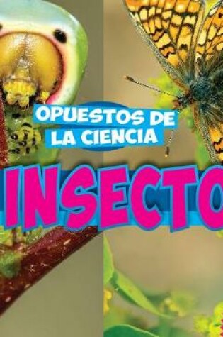 Cover of Los Insectos