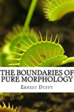 Cover of The Boundaries of Pure Morphology