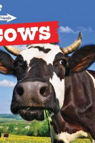 Cover of Cows