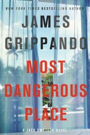 Cover of The Most Dangerous Place