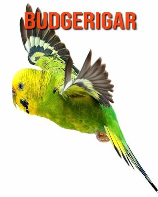 Book cover for Budgerigar