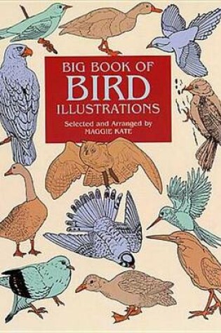 Cover of Big Book of Bird Illustrations