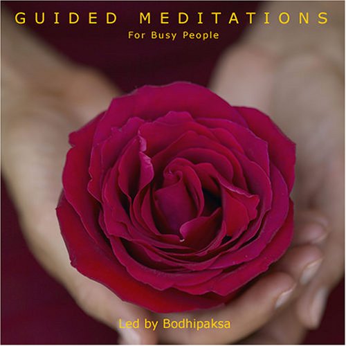 Book cover for Guided Meditations for Busy People