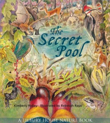 Book cover for The Secret Pool