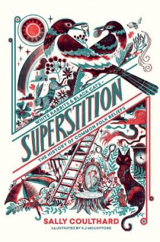 Cover of Superstition