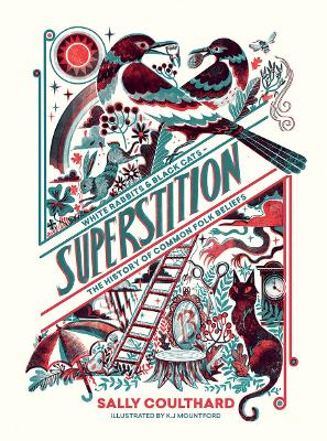 Book cover for Superstition