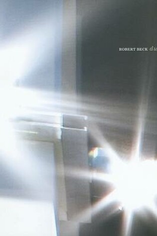 Cover of Robert Beck: Dust